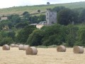 Tallow Countryside