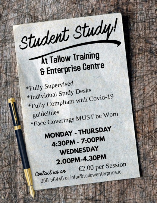 Copy of Tutoring Service Flyer - Made with PosterMyWall